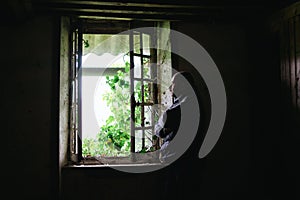 A man inside an old crumbling house near the window. Depression, loneliness, despair, decline, sadness concept