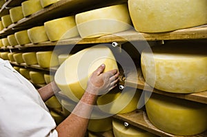 Muž kontrola syr 