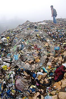 Man Inspecting an Mountain of Trash