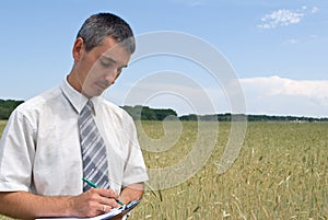 Man inspecting the wheat