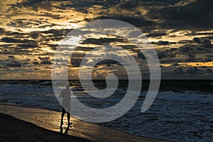 Man jogging in the beach during sunset