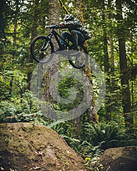 Man Jumping Bicycle High Above Dirt Ramps in the Woods