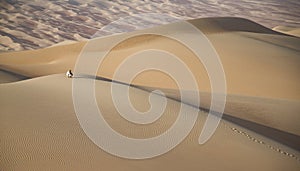 Man in kandura in a desert at sunrise