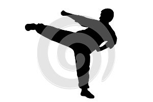 Man karate kicking photo
