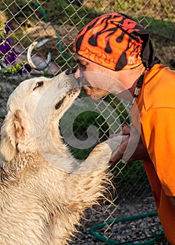 Man kissing a dog labrador