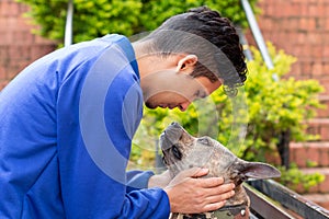 Man kissing his cute pitbull dog. Pitbull that is not dangerous. Dog in brindle color. Horizontal photo.