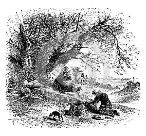 Man Kneeling Near Tree Stump, vintage illustration