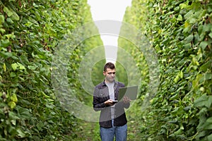 Man with laptop among green field. Engineer work outdoor