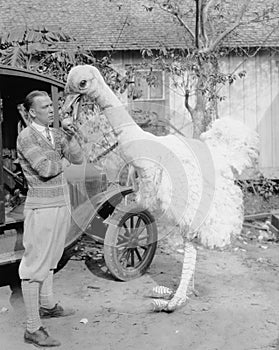 Man with large fake ostrich