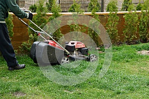 Man with a lawn mower mows green grass on a lawn