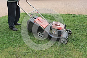 A man with a lawnmower mows green grass