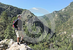 A Man on a Ledge Overlooking a Forest