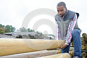 Man lifting wooden pole