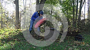 Man load wheelbarrow with fallen leaves during autumn cleaning in garden. 4K