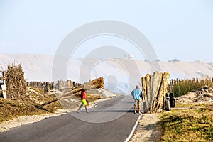 Man loads Totora reeds from into a cart next to the road before the sunset photo