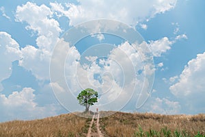 Man and lonely tree