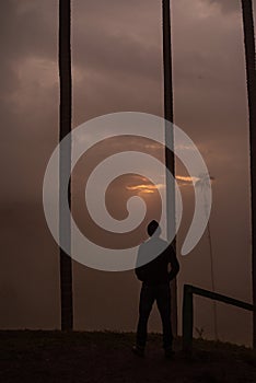 Man lookin sunset with wax palm tree in Cocora Valley near Salento Quindio, Colombia