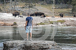 Man looking at bison while exploring at lakeshore in Yellowstone National park