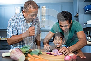 Man looking at boy cutting onion with father