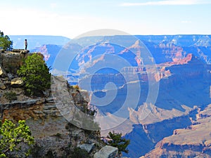 A man looking down the Grand Canyon