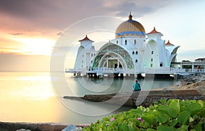 Man looking at the Majestic