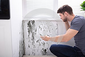 Man Looking At Mold On Wall