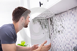 Man Looking At Mold On Wall