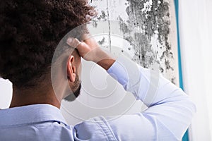 Man Looking At Mold On Wall