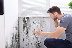 Man Looking At Mold On Wall photo