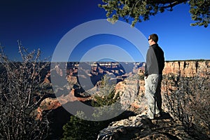 Man looking out Grand Canyon