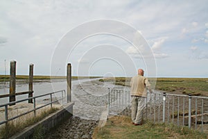 Man looking over the salt marshes.Noordpolderzijl