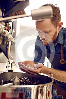 Man looking at roasted coffee beans from a roasting machine