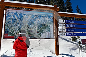 Man looking to ski trails map.