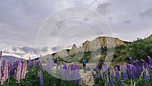 Man looking at the view of Omarama Clay Cliffs surrounded by lupin flowers. New Zealand