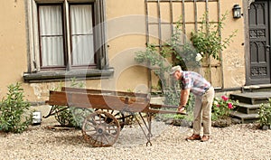 Man looks at an antique pushcart