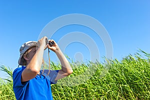 Man looks for through the reeds