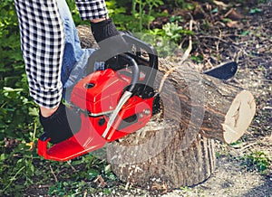 A man - Lumberjack in a black and white checkered shirt sawing a chainsaw