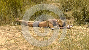 Man lying on beach. Heat