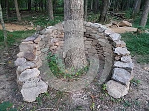 A man-mad stone wall structure surrounds a tree in a wooded area in West Virginia USA.