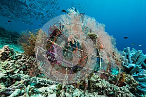 man-made artificial reef with metal struture and concrete