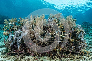 man-made artificial reef with metal struture and concrete