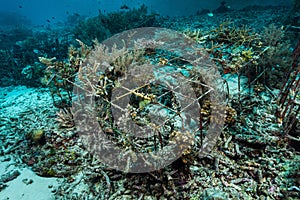 man-made artificial reef with metal struture and concrete photo