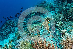 man-made artificial reef with metal struture and concrete