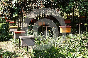 Man-made bee nests made of timber.