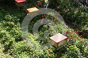 Man-made bee nests made of timber.