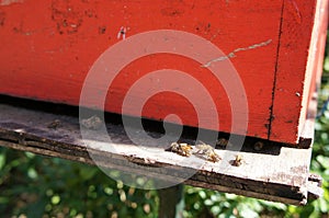 Man-made bee nests made of timber. Designed in box form.