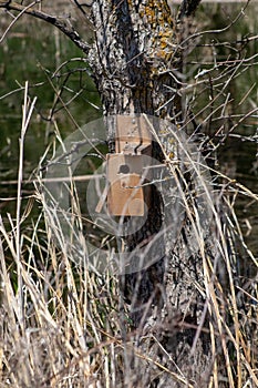 Man made bird house on tree in Nebraska country