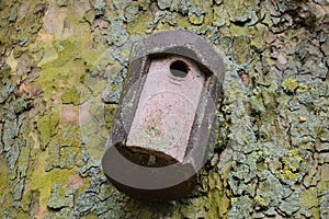 Man made bird nesting box on a tree