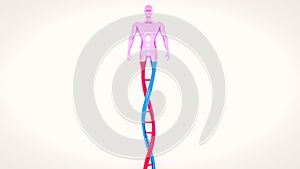 Man made from DNA concept CRISPR and gene editing concept, DNA manipulation, PCR protein molecular DNA