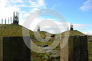 Man Made Hills - Regeneration of Former Opencast Site photo